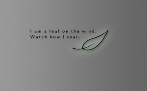 Nice Cool Quotes (click to view)