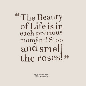 Quotes Picture: the beauty of life is in each precious moment! stop ...