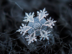 Awe-Inspiring Macro Photography of Individual Snowflakes