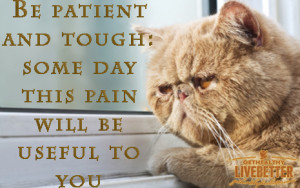 Be patient and tough; Someday this pain will be useful to you. Ovid