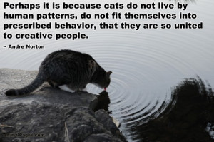 nafisa joseph quotes i used to love dogs until i discovered cats ...