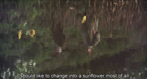 Tag Archives: Harold and Maude quotes