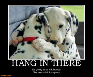 hang-in-there.jpg