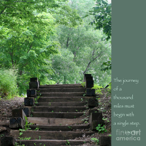 Steps And Lao Tzu Quote Photograph