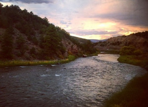 Your Best Amtrak Quotes