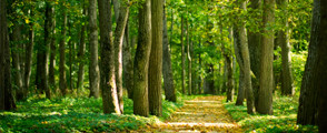 Environmental management