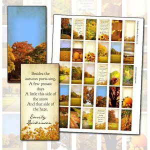 Autumn Harvest Quotes Domino digital collage sheet 1x2 by magicpug