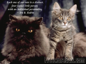 Screenshot of Cats and Quotes Scenic Reflections Screensaver