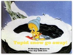 Go Back > Gallery For > Go Away Snow Quotes