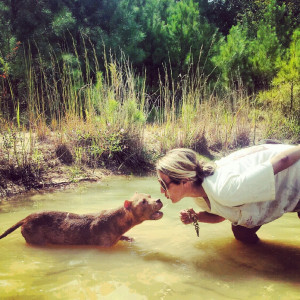 The Truth About Pit Bulls