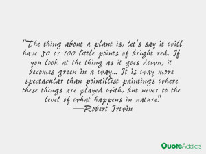 Robert Irwin