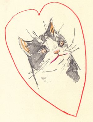 Pokey Love (Grumpy Cat’s Brother)