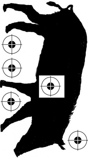 target shooting with your friends with this free downloadable target ...