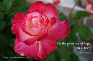 In the presence of hope, faith is born. ~ Robert Schuller