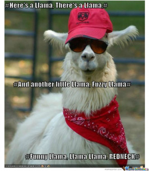 Related Pictures funny lama image funny pics co
