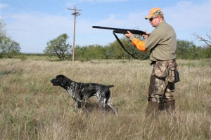 Some pics from Texas quail hunt