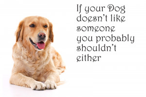 Download Dog Quotes Picture View Download
