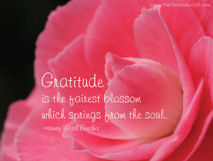 Gratitude is the fairest blossom which springs from the soul.