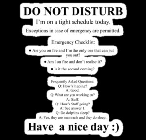 Do Not Disturb by bloke28