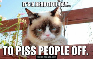 Funny Cat Pictures: Grumpy Cat A Beautiful Day to Piss People Off