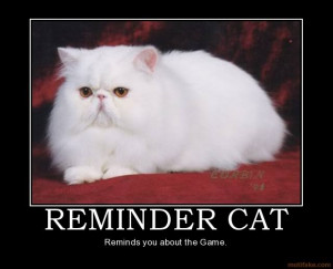 reminder cat photo remindercat.jpg