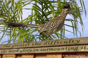 Found on photoquoto.com