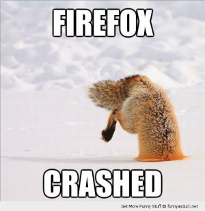 fox stuck head snow firefox crashed animal funny pics pictures pic ...