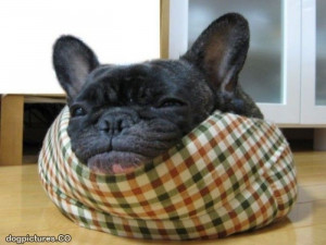 dont want to wake up yet