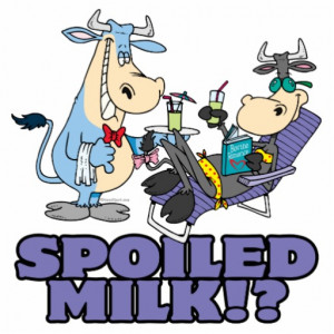 Pampered Cow Spoiled Milk Funny Humour Cartoon Photo Sculptures