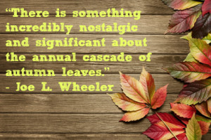 Author Joe L. Wheeler was very right — there is a certain feeling of ...