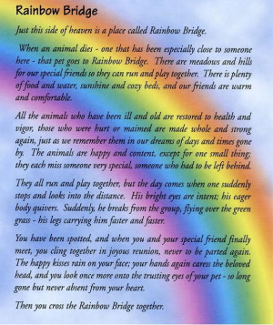 Guestbook Adopted Dogs Hope's Story Rainbow Bridge