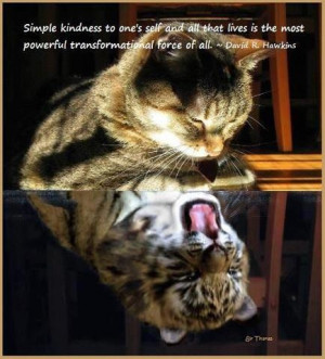 simple kindness..