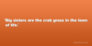Big sisters are the crab grass in the lawn of life.”