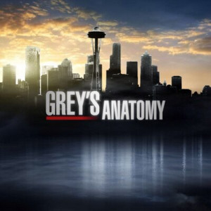 Greys Anatomy Quotes