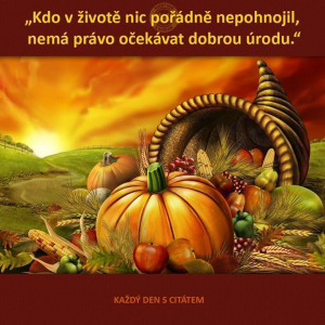 fbcdn-sphotos-f-a.akamaihd.net