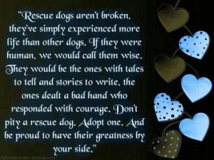 Rescue dogs aren't broken, they've simply experienced more life than ...