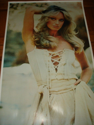 Original Source Image Diana