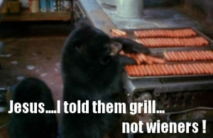 Funny Bear Quotes Funny bear ste.