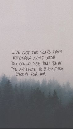 fall out boy, my songs know what you did in the dark