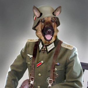 Funny Animal Army New Nice Photos/Images 2012
