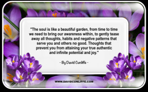 Spiritual quotes about soul 003