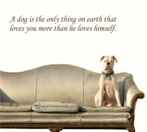 352 A dog is the only thing on earth that loves you more than he ...