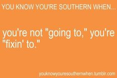 Southern Hospitality Quotes | ... Charleston-set ON THE VERGE OF I DO ...