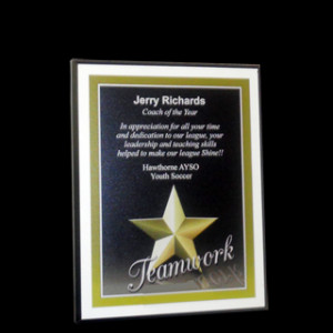 Teamwork Sports Plaque (PA-79W-Teamwork)