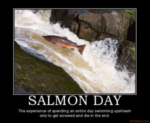 SALMON DAY The experience of spending an entire day swimming upstream ...