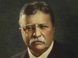 Teddy Roosevelt Quotes HD Wallpaper 8