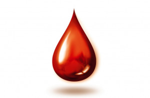 Auffenberg Dealer Group May 17th Blood Drive