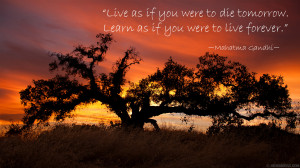 Quote – Live as if you were to die tomorrow. Learn as if you were to ...