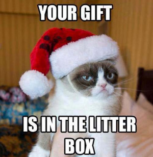 Grumpy Cat's Christmas