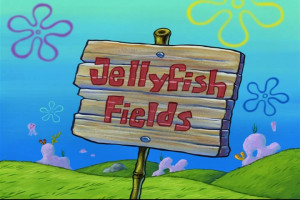 Jellyfish Fields PSA